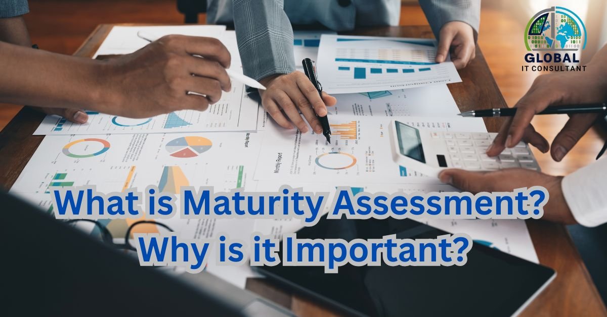 What is Maturity Assessment Why is it Important